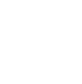 Diversity PA
